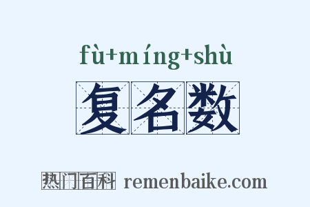 复名数是什么意思的图片